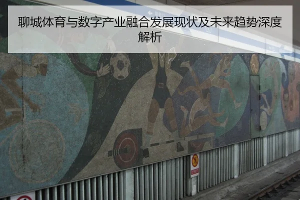 聊城体育与数字产业融合发展现状及未来趋势深度解析