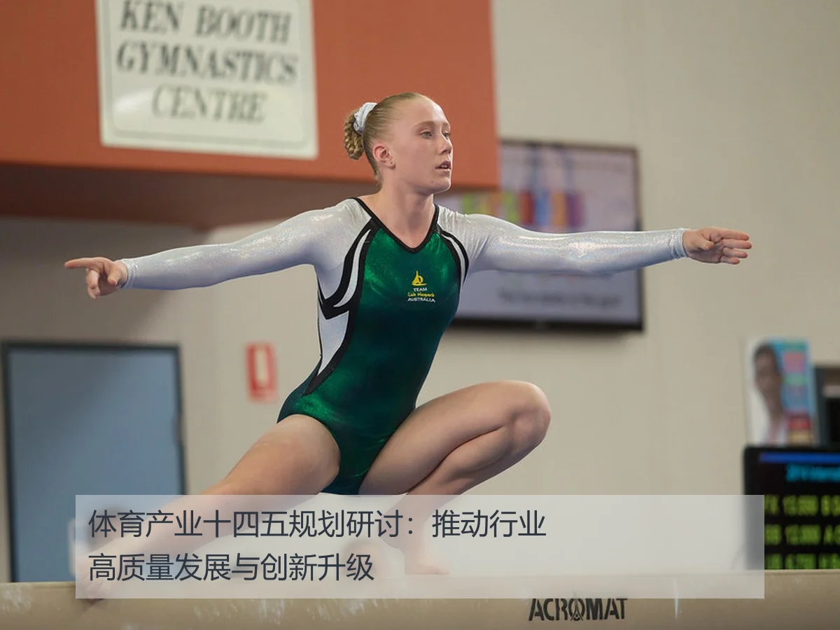 体育产业十四五规划研讨:推动行业高质量发展与创新升级